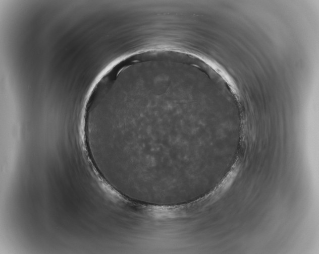 X0000087630904200705101025