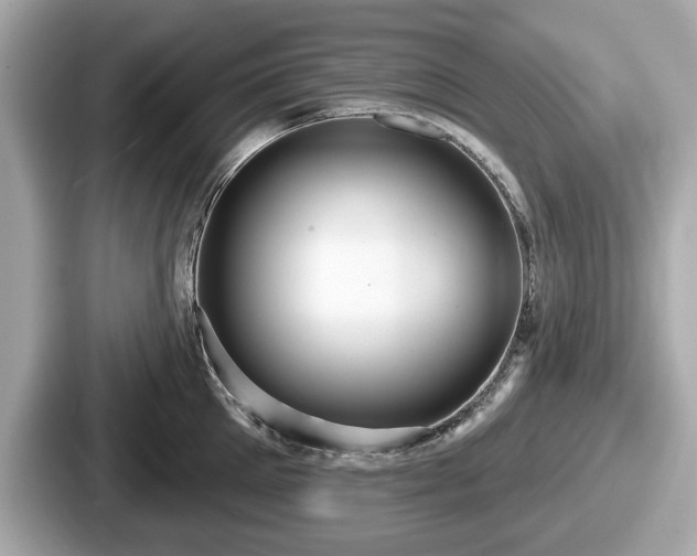 X0000087630905200705101025