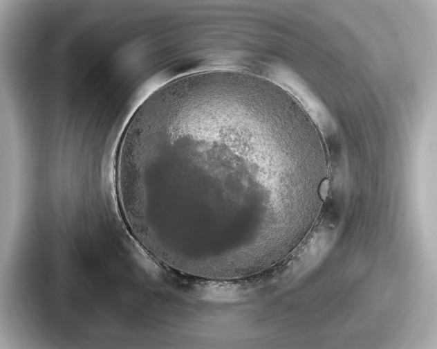 X0000087630907200705101025