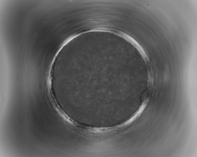 X0000087630908200705101025