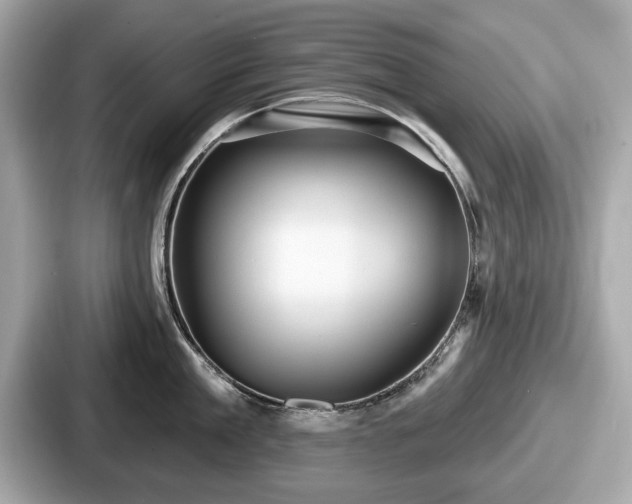 X0000087630909200705101025