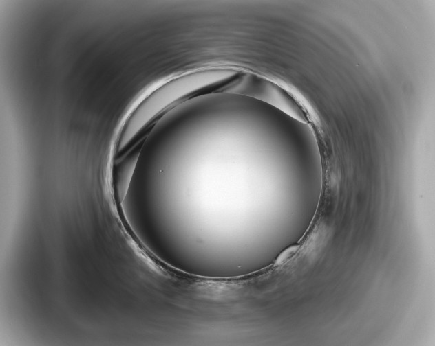 X0000087630910200705101025