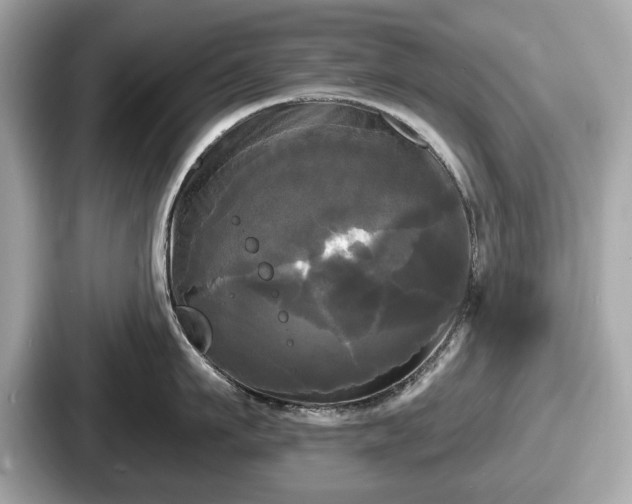 X0000087630911200705101025