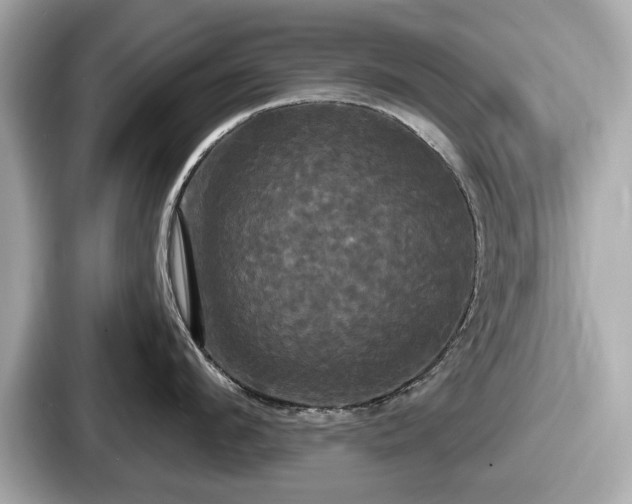 X0000087630912200705101025