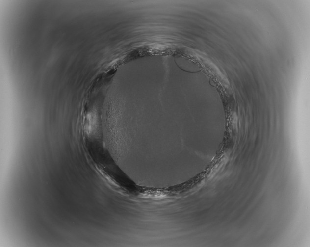 X0000087630914200705101024