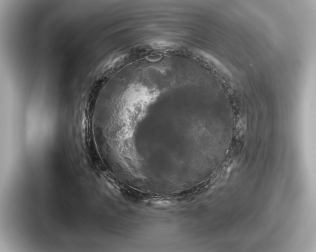 X0000087630917200705101024