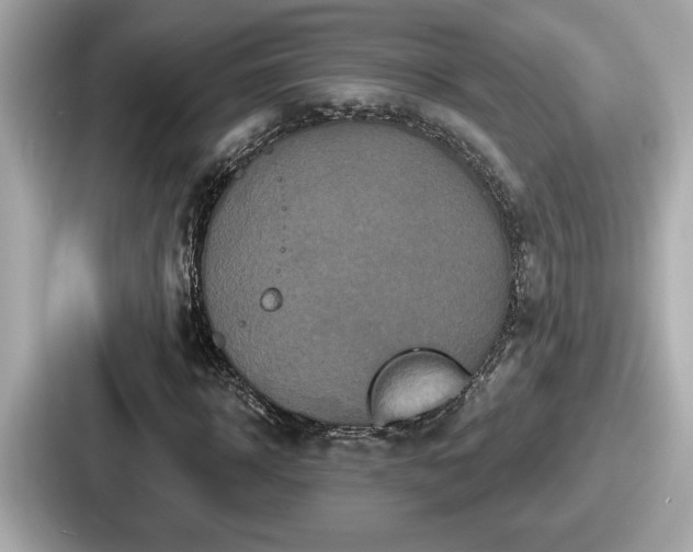 X0000087630918200705101024