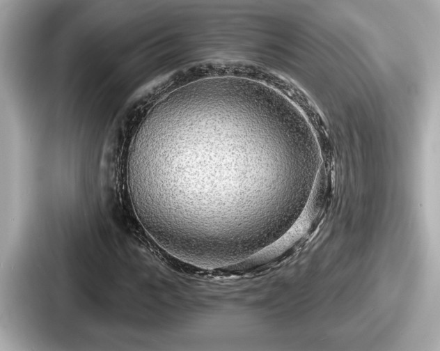 X0000087630919200705101024