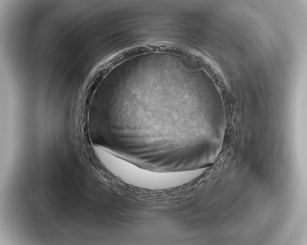 X0000087630920200705101024