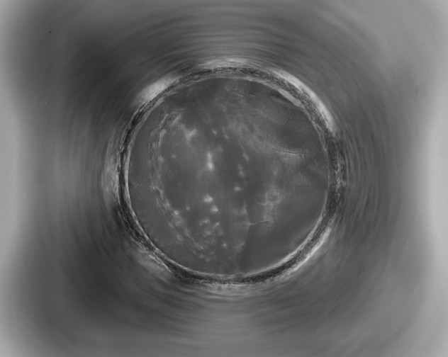 X0000087630921200705101024