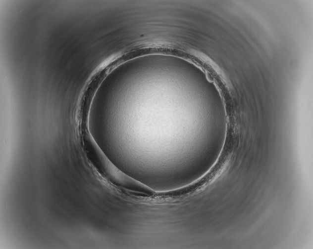 X0000087630922200705101024