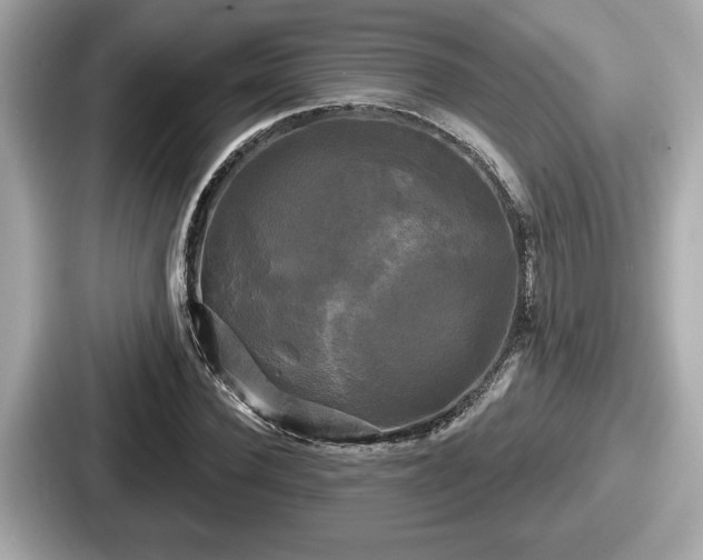 X0000087630924200705101024