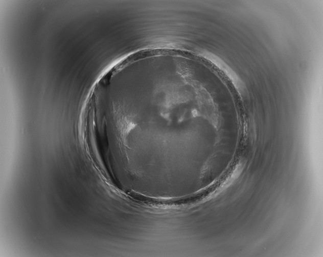 X0000087630925200705101024