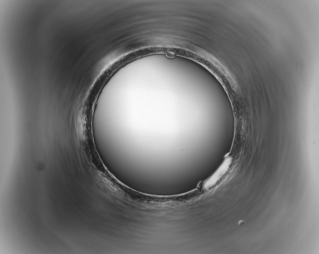 X0000087630926200705101024