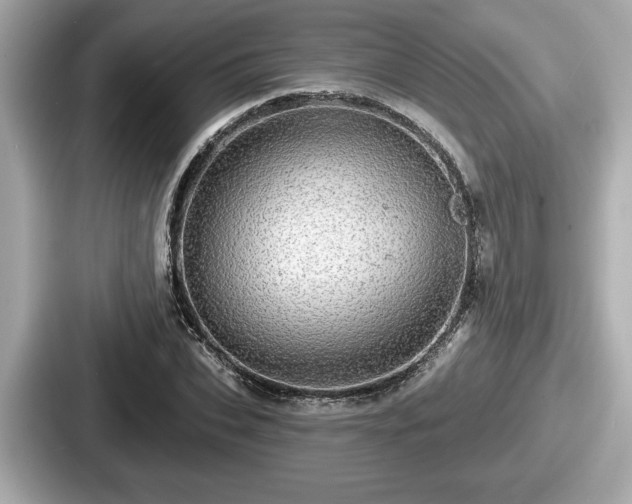 X0000087630927200705101025