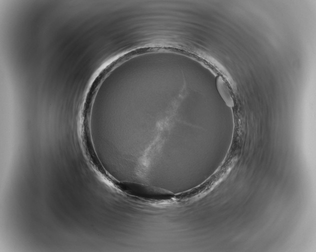 X0000087630928200705101025