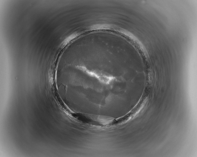 X0000087630929200705101025