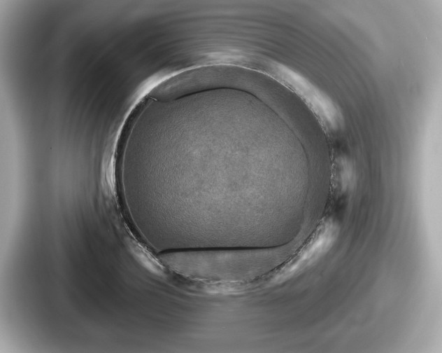 X0000087630932200705101025