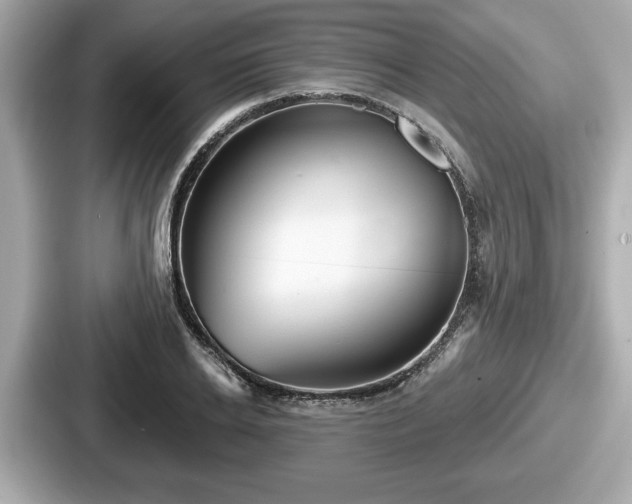 X0000087630934200705101025