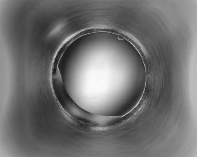 X0000087630935200705101025