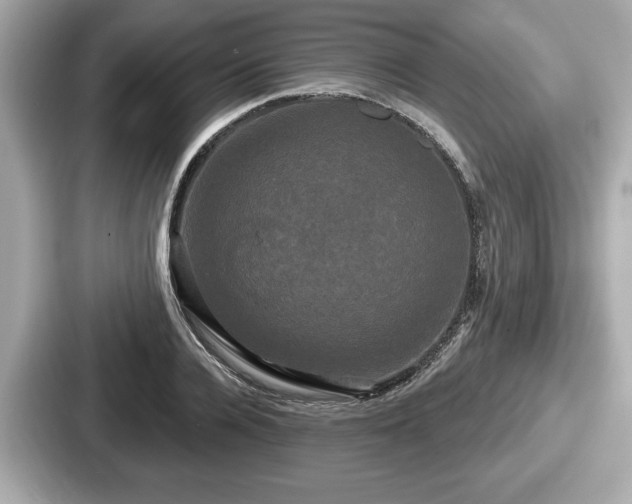 X0000087630936200705101025