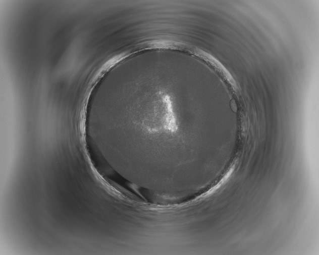 X0000087630938200705101025