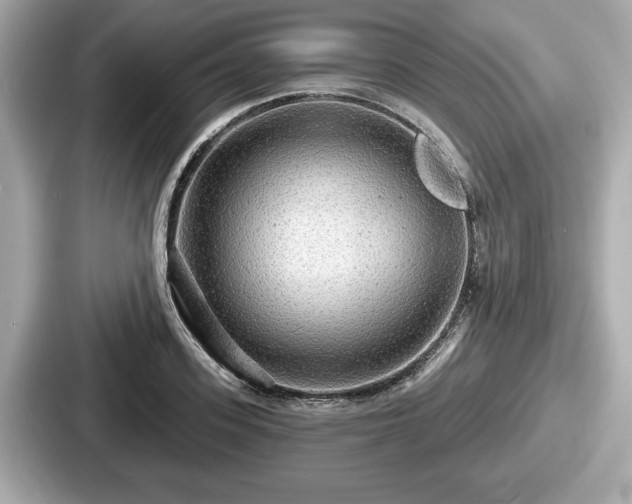 X0000087630939200705101025