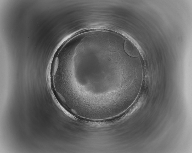 X0000087630941200705101025