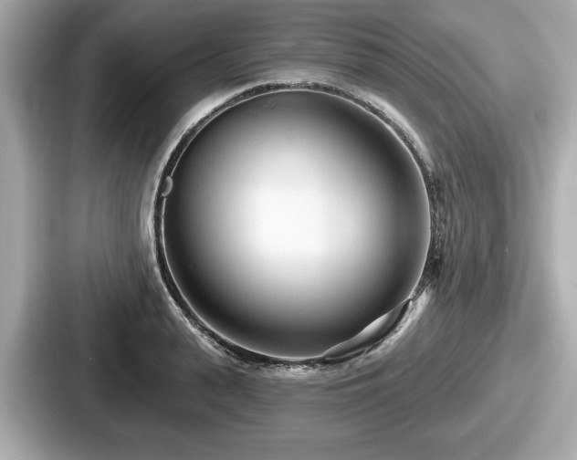 X0000087630943200705101025