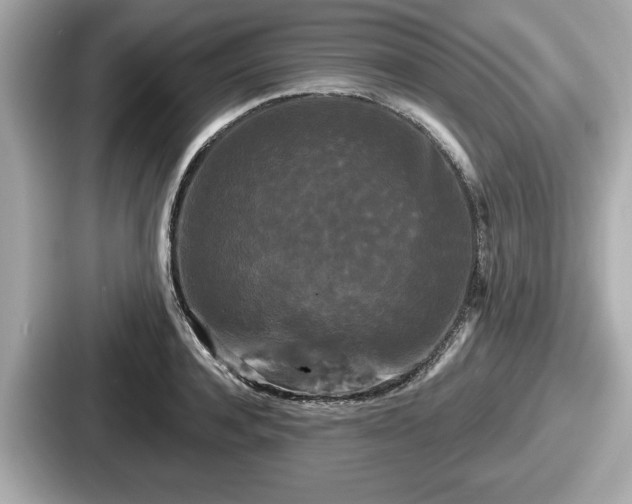 X0000087630944200705101025