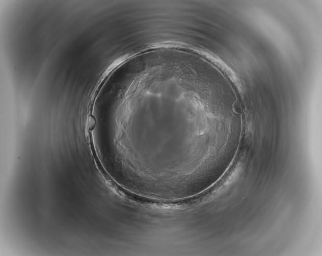 X0000087630945200705101025