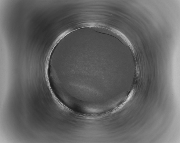 X0000087630946200705101025