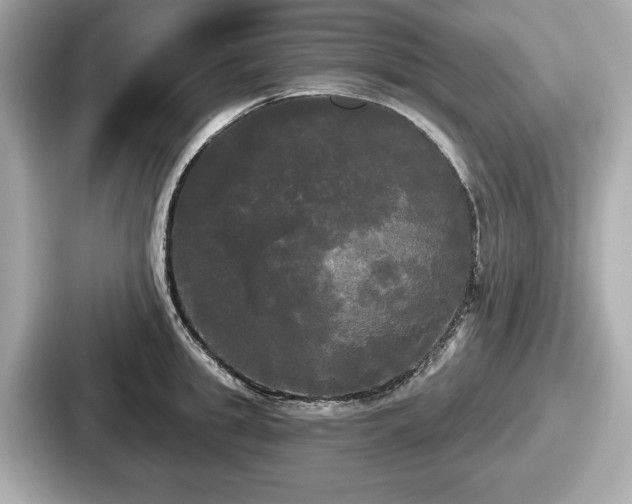 X0000087630949200705101025