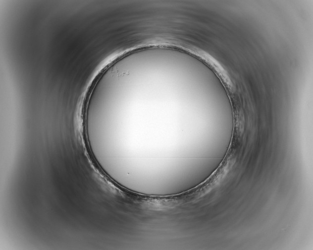 X0000087630950200705101025