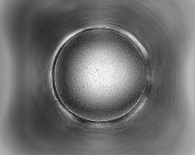 X0000087630951200705101025