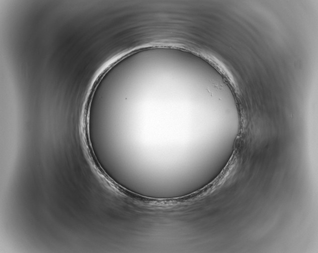 X0000087630952200705101025