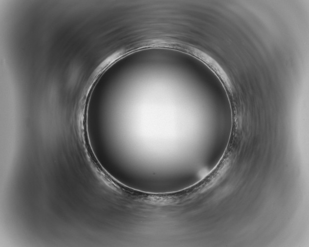 X0000087630954200705101025