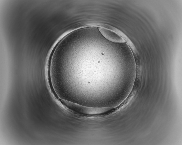 X0000087630955200705101025