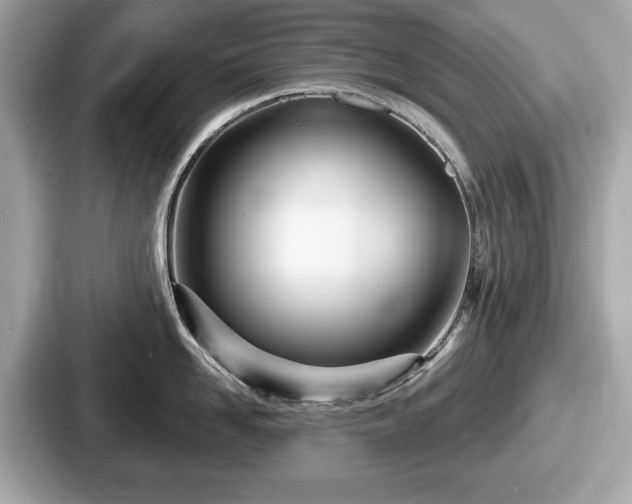 X0000087630958200705101025