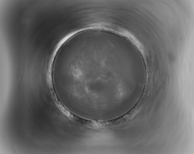 X0000087630960200705101025