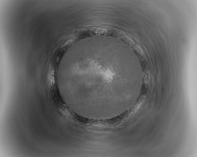 X0000087630962200705101024