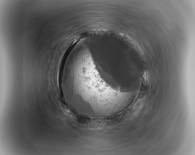 X0000087630963200705101024