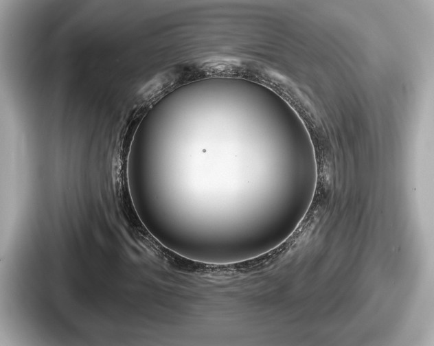 X0000087630964200705101024