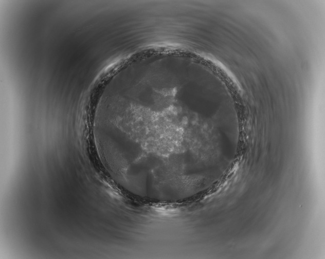 X0000087630967200705101024