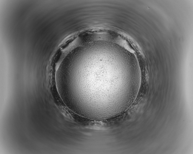 X0000087630968200705101024