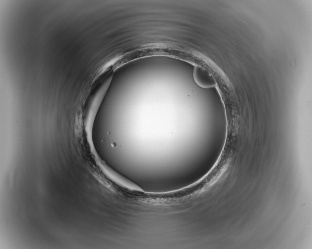 X0000087630969200705101024