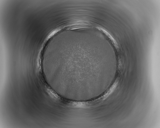 X0000087630970200705101024