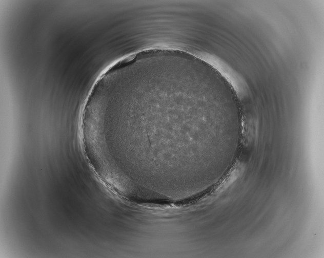 X0000087630972200705101024