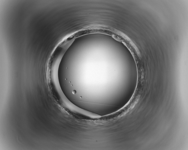 X0000087630973200705101024