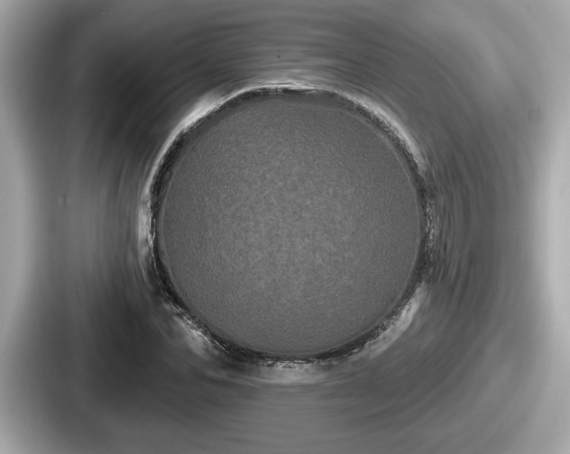 X0000087630974200705101024